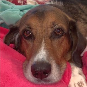 Meet your Posher, Colin